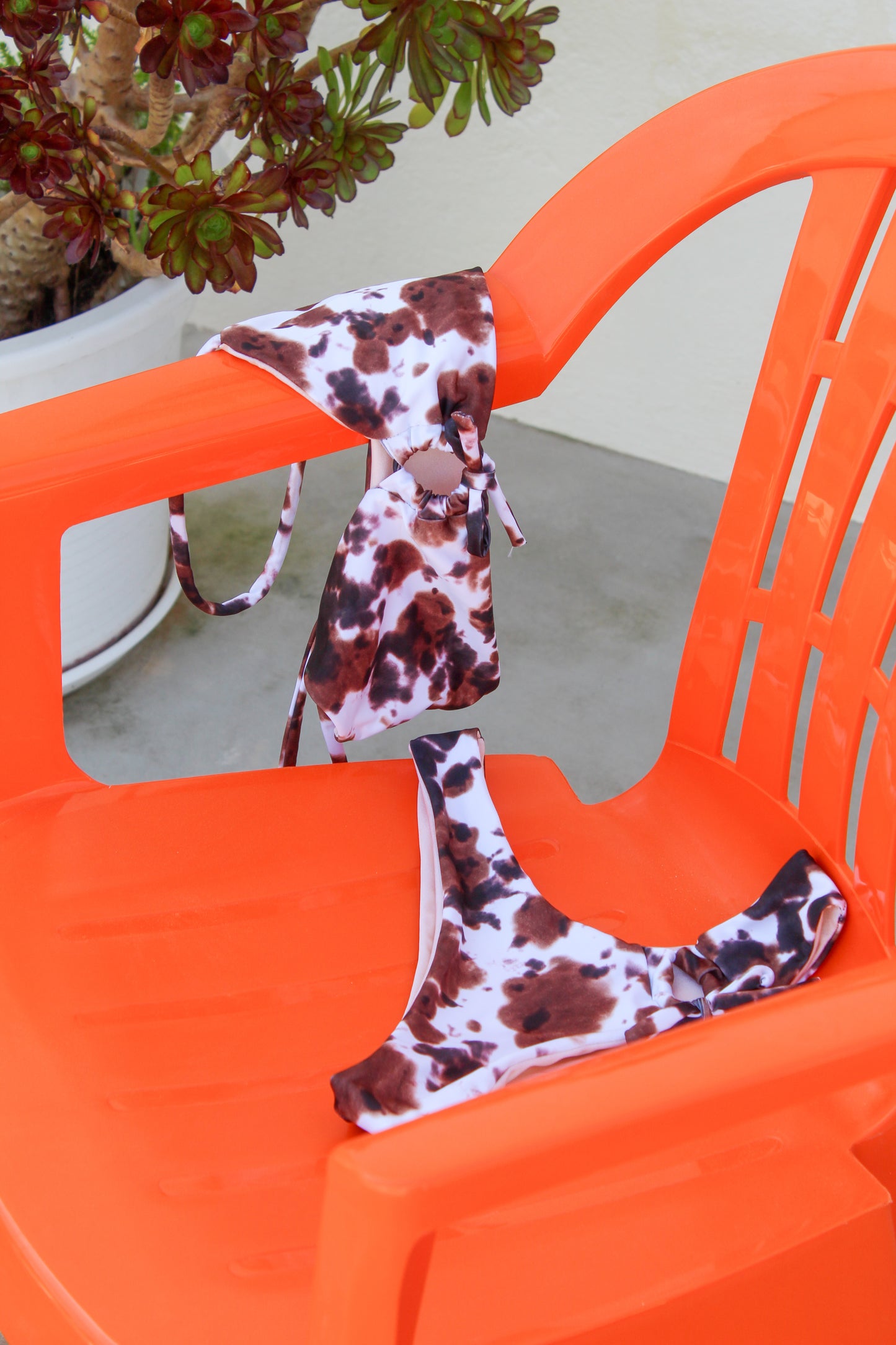 Cow bikini